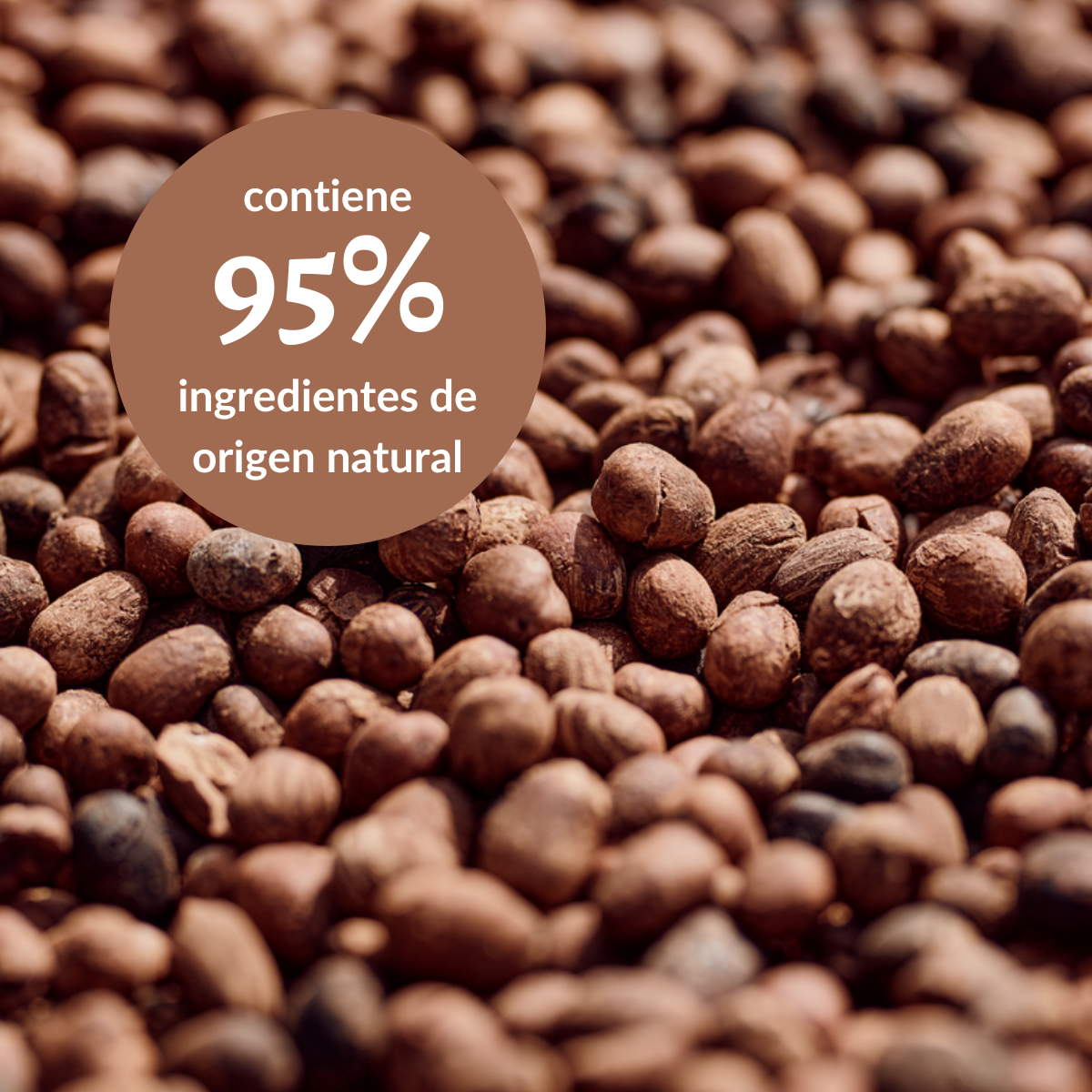 Loción Hidratante Manos y Cuerpo Karité