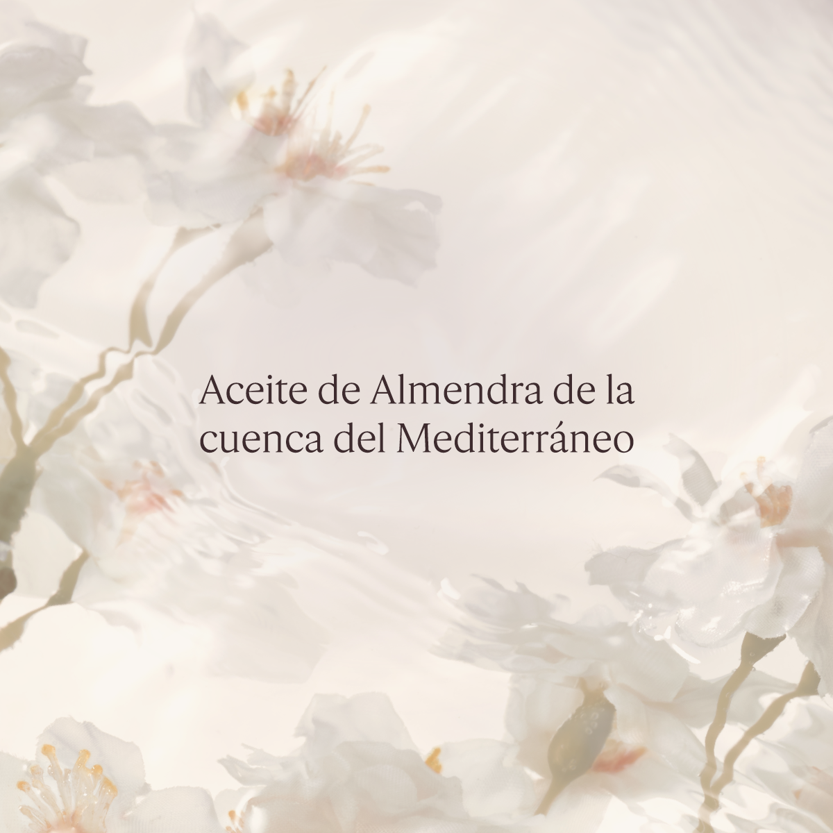 Aceite de Ducha Almendra