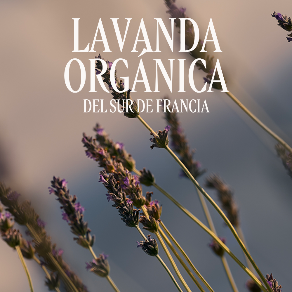 Eau de Toilette Lavande