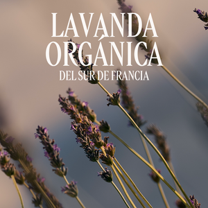 Eau de Toilette Lavande
