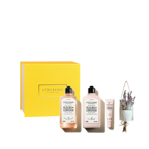 Kit Fleurs De Cerisier