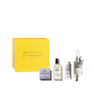 Kit Lavande Blanche