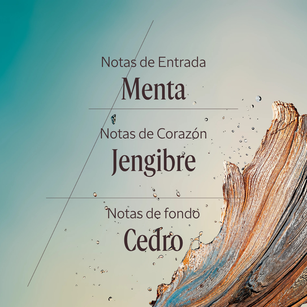 Eau de Toilette Cèdre Gingembre