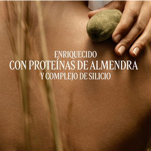 Concentrado de Leche Amande Sublime