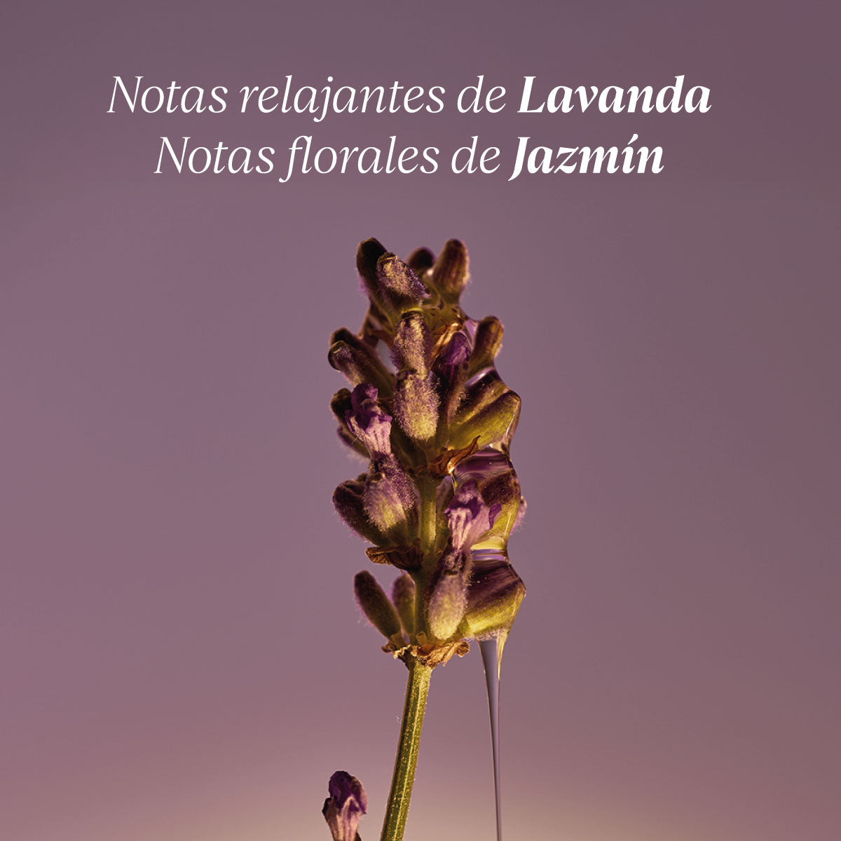 Jabón Líquido de Manos Lavande