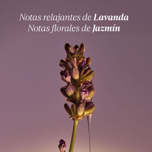 Jabón Líquido de Manos Lavande