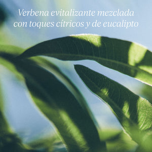 Jabón Líquido de Manos Verveine