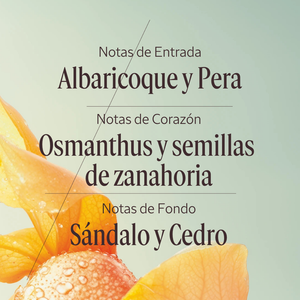 Eau de Toilette Osmanthus Abricot